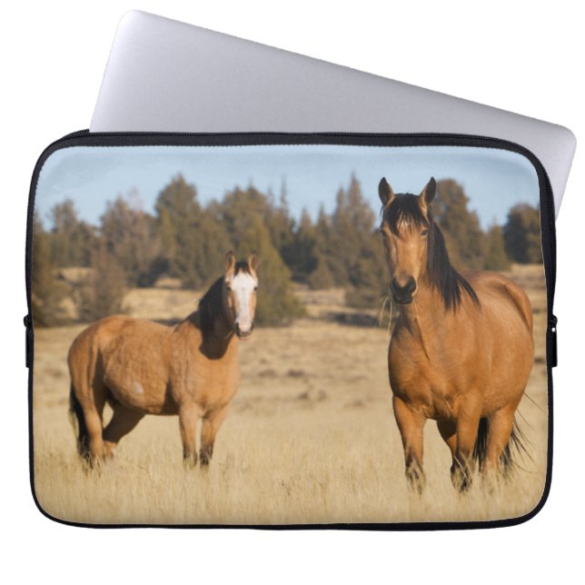 Capa Para Notebook Cavalos Selvagens, Montanhas Steens (Frente)