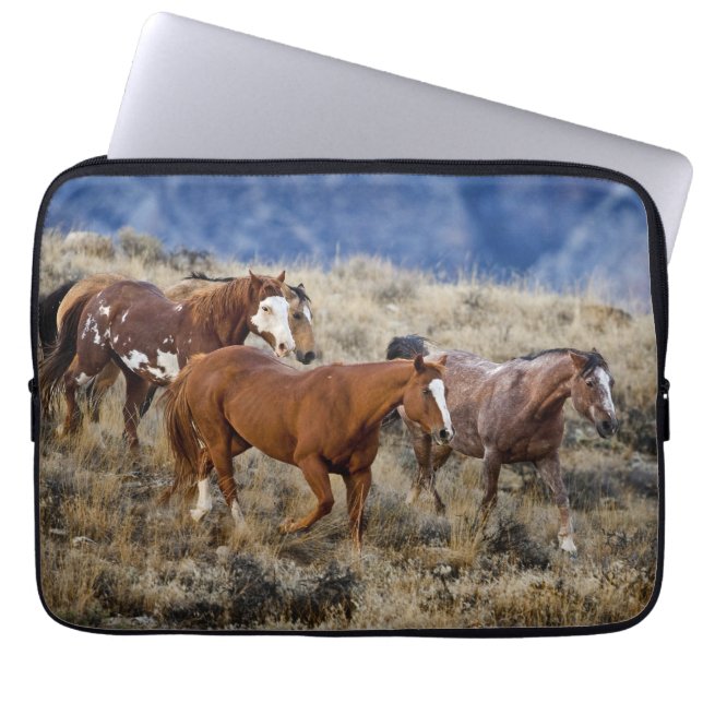 Capa Para Notebook Cavalos Vagueando pelas Colinas (Frente)