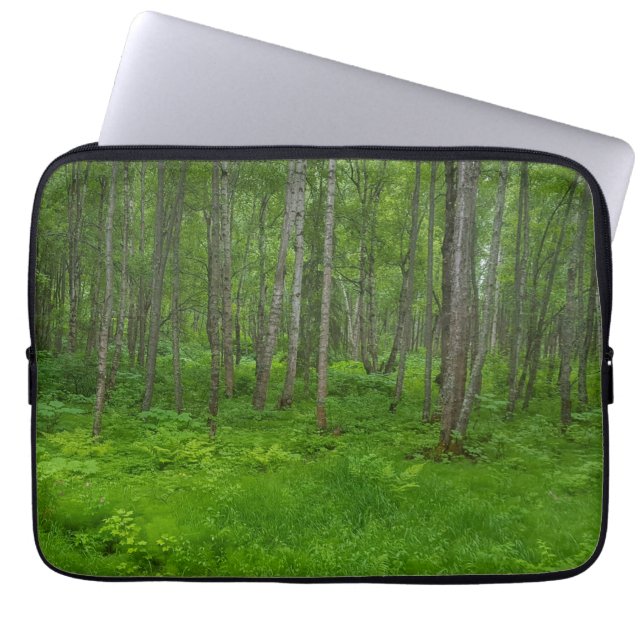 Capa Para Notebook Cena de Paisagem de Floresta Verde Luxuriante (Frente)