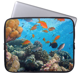 Capa Para Notebook Cena subaquática