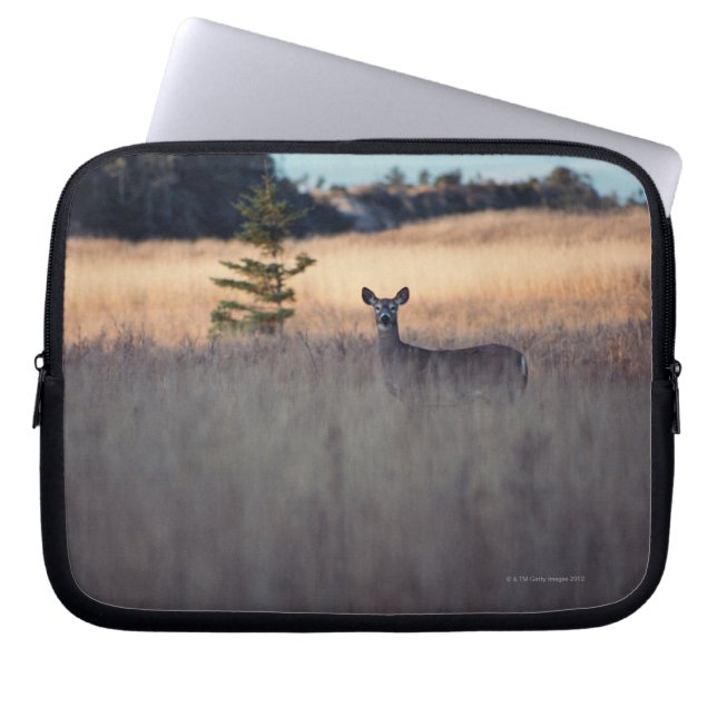 Capa Para Notebook Cervos no campo (Frente)