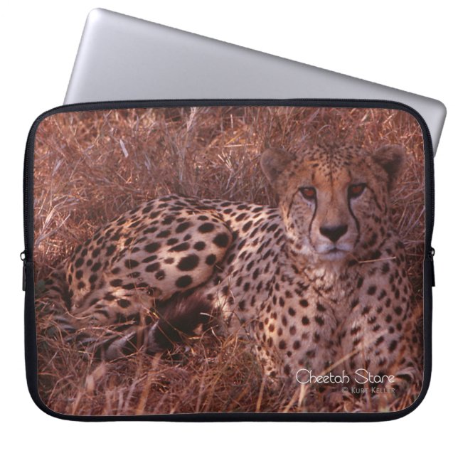 Capa Para Notebook Cheetah Stare (Frente)