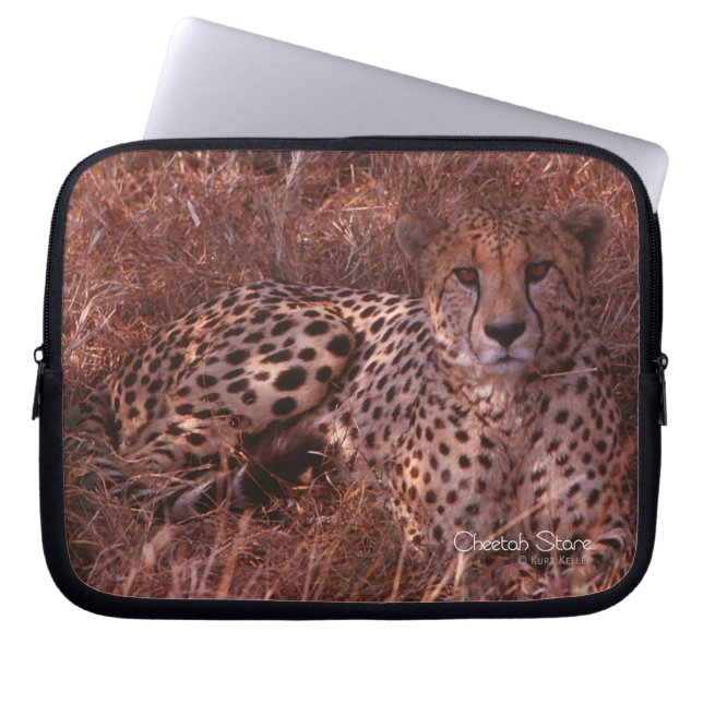 Capa Para Notebook Cheetah Stare (Frente)