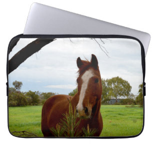 Capa Para Notebook Chestnut Horse A Cheirar Uma Árvore Banksia,