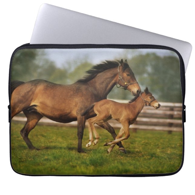 Capa Para Notebook Chestnut Mare & Foal puro (Frente)