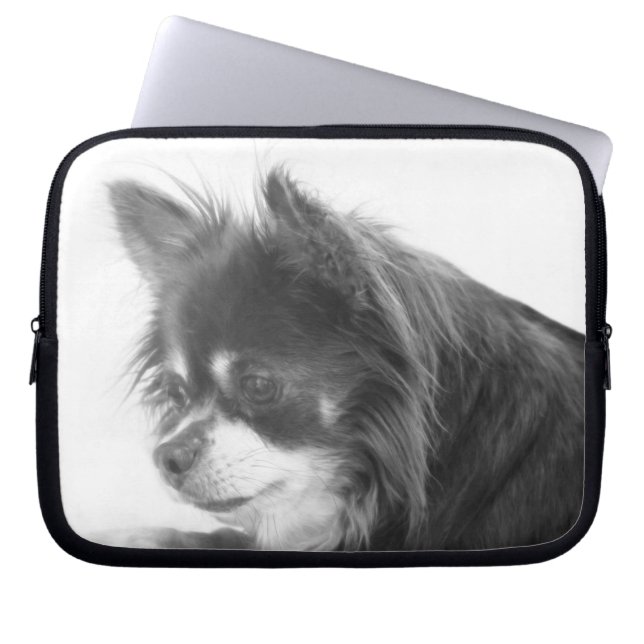 Capa Para Notebook Chihuahua Dog Portrait (Frente)