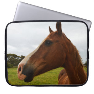Capa Para Notebook Chocolate Chestnut Horse