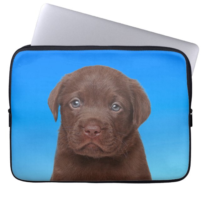 Capa Para Notebook Chocolate Labrador (Frente)