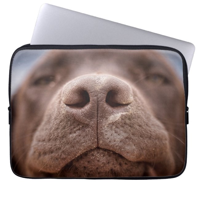 Capa Para Notebook Chocolate Labrador Nose Closeup (Frente)