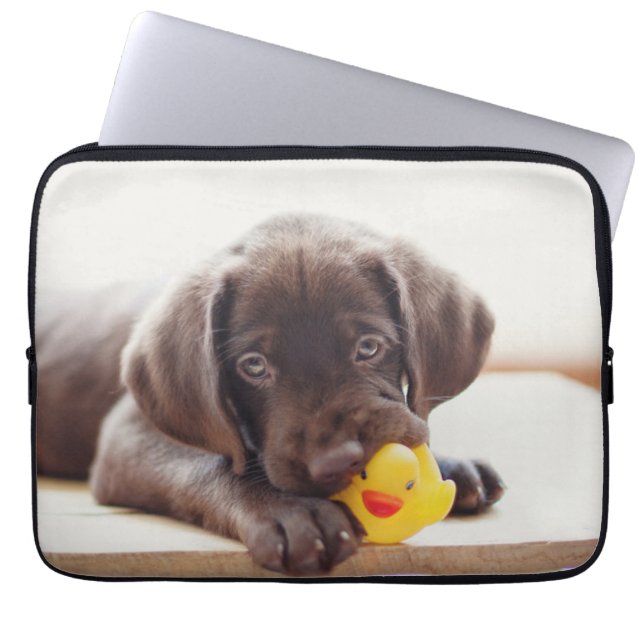 Capa Para Notebook Chocolate Labrador Puppy Com Pato De Brinquedo (Frente)