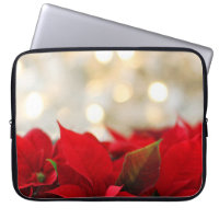 Christmas Poinsettia