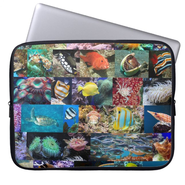 Capa Para Notebook Cientistas dos Peixes e Animais Marinhos do Coral  (Frente)