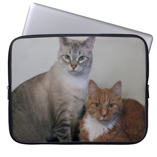 Capa Para Notebook Cinza Tabby e Orange Tabby Cats (Frente)
