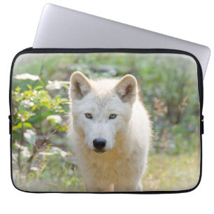 Capa Para Notebook Cinza Wolf, Fotografia Animal Canina Calm