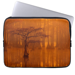Capa Para Notebook Ciprestes Parque Estadual George Smith