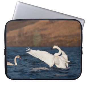 Capa Para Notebook Cisne Flapping