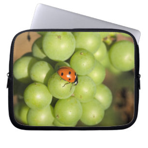 Capa Para Notebook Close de uma joaninha em uvas Pinot Noir verdes