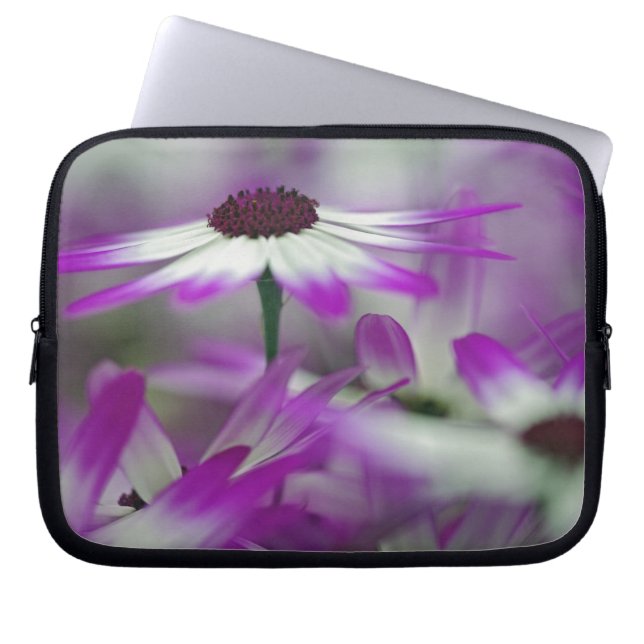 Capa Para Notebook Close-up de flor roxa, Jardim Keukenhof, (Frente)