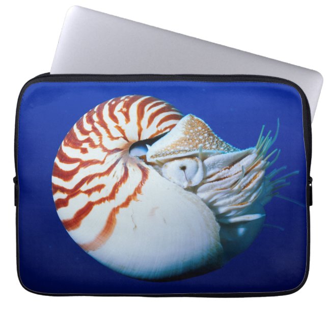 Capa Para Notebook Close-Up de Nautilus-Camarado (Frente)