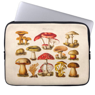 Capa Para Notebook Cogumelos do vermelho da variedade do cogumelo dos