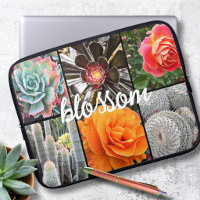 Colagem de Fotos de Cactos de Flores de Rosa em Fl