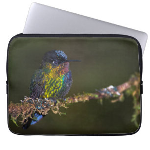 Capa Para Notebook Colibri