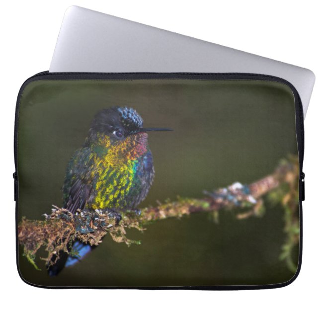 Capa Para Notebook Colibri (Frente)
