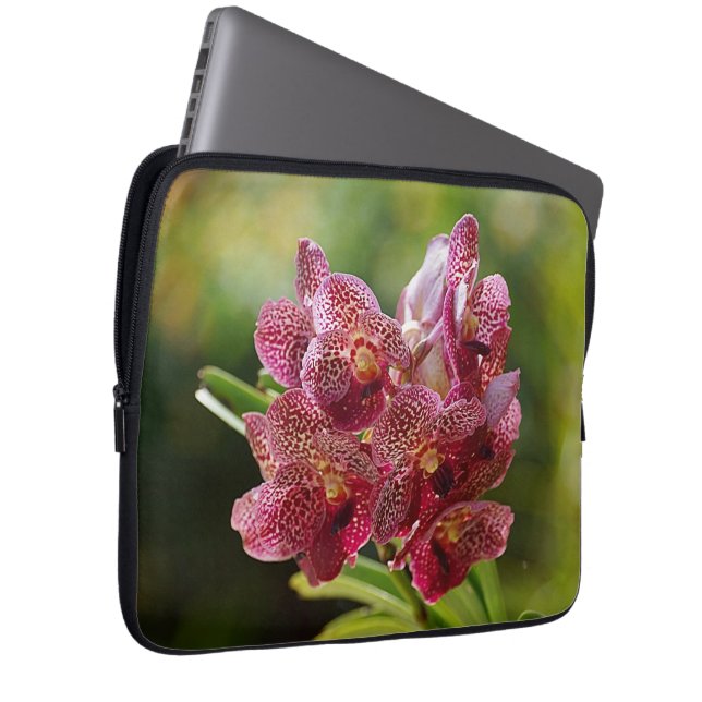 Capa Para Notebook Conjunto tropical da orquídea de Vanda (Frente Esquerda)