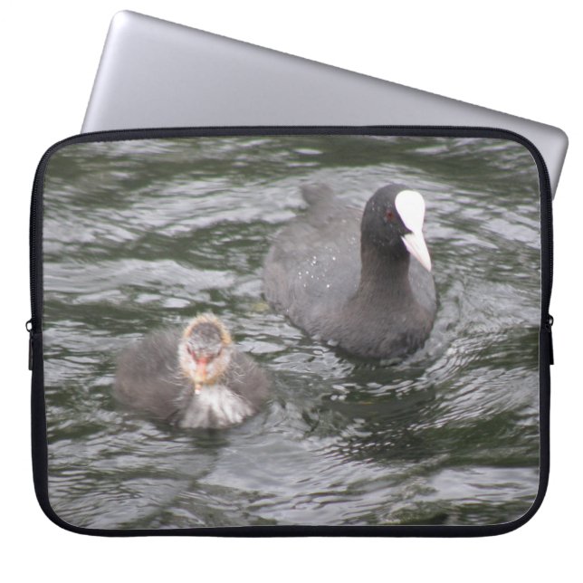 Capa Para Notebook Coot e Bolsa de laptop do Pintinho (Frente)