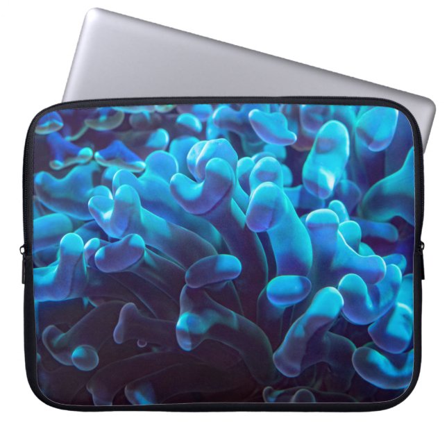 Capa Para Notebook Coral azul (Frente)