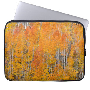 Capa Para Notebook Cores de Outono em Bosques de Álamo