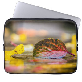 Capa Para Notebook Cores de queda