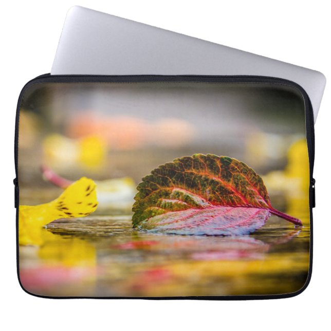 Capa Para Notebook Cores de queda (Frente)