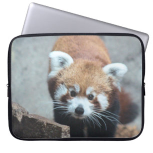 Capa Para Notebook Coroa