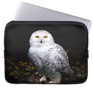 Capa Para Notebook Coruja-das-neves majestosa de inverno
