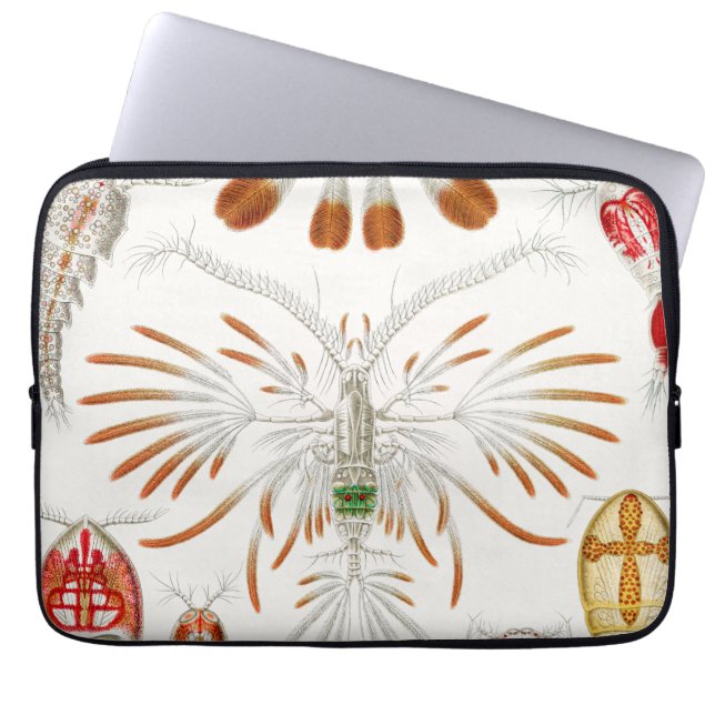 Capa Para Notebook Crustáceos da Vida Marinha, Copepoda por Ernst Hae (Frente)