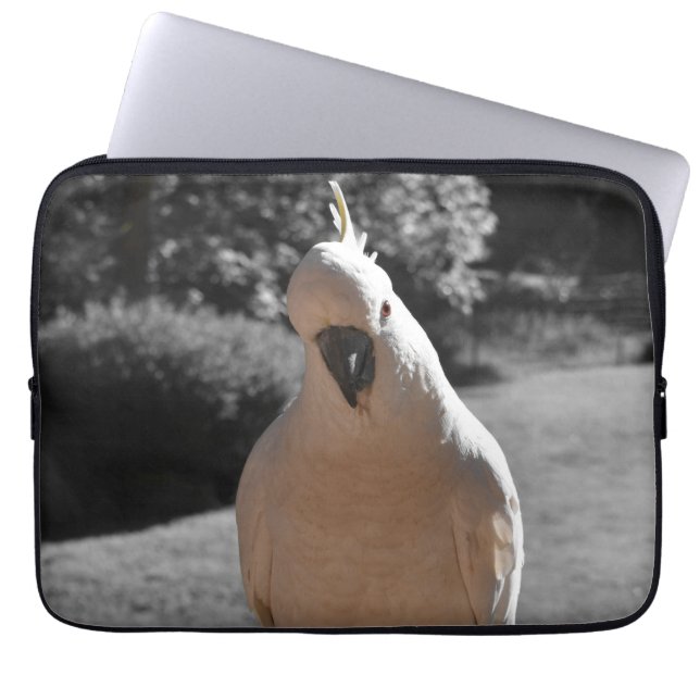 Capa Para Notebook Curioso Cacatua-de-crista-amarela (Frente)