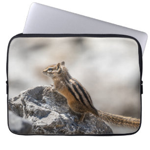 Capa Para Notebook Curioso Chipmunk castanho em Alberta