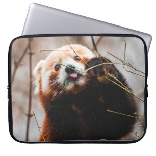 CAPA PARA NOTEBOOK CUTE KOALA BEAR