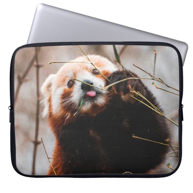 CAPA PARA NOTEBOOK CUTE KOALA BEAR (Frente)
