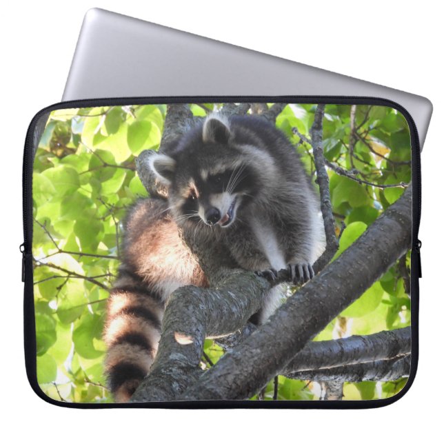 Capa Para Notebook Cute Raccoon em árvore (Frente)