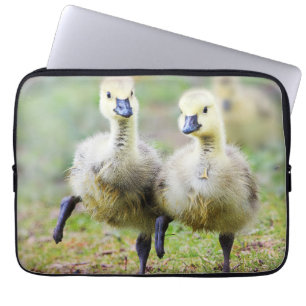 Capa Para Notebook Cutest Baby Animals   Canadian Goose Goslings