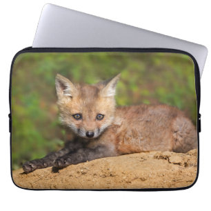Capa Para Notebook Cutest Baby Animals   Red Fox Pup