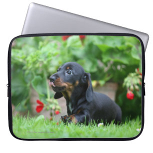 Capa Para Notebook Dachshund diminuto Liso-de cabelo 1