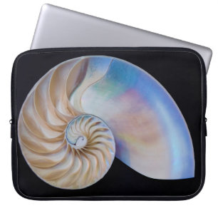 Capa Para Notebook Dentro O Nautilus