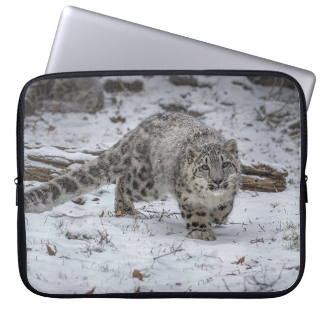 Capa Para Notebook Desengaço de Cub do leopardo de neve (Frente)