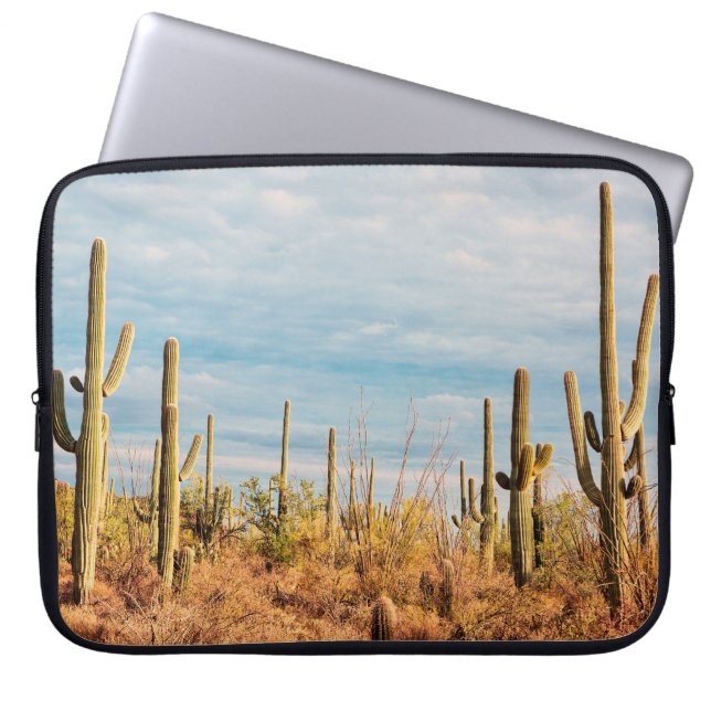 Capa Para Notebook Deserto com cactos de Saguaro (Frente)