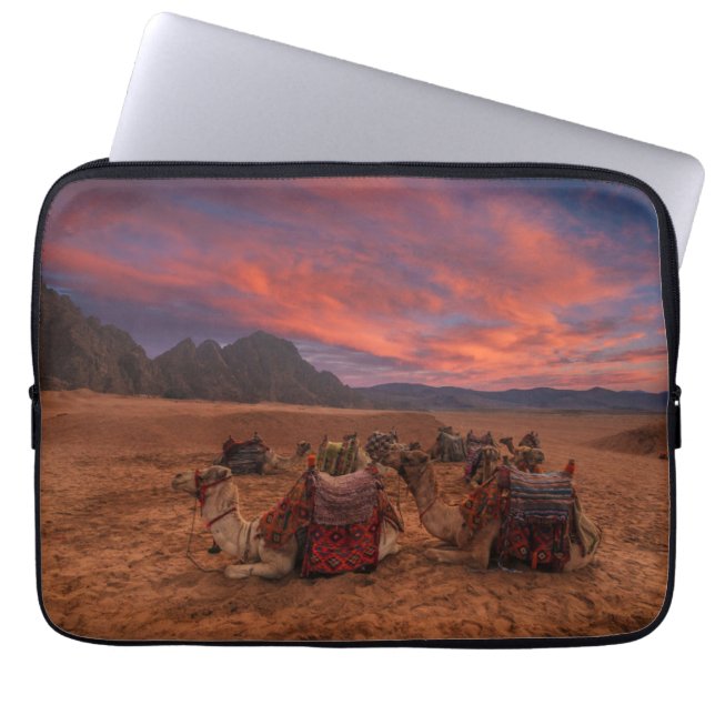 Capa Para Notebook Desertos | Camels Sinai Mounts Egito (Frente)