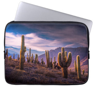 Capa Para Notebook Desertos   Paisagem Cactus Argentina