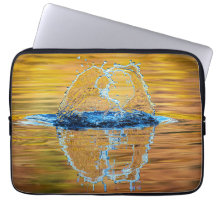 Despejo na noite de outono